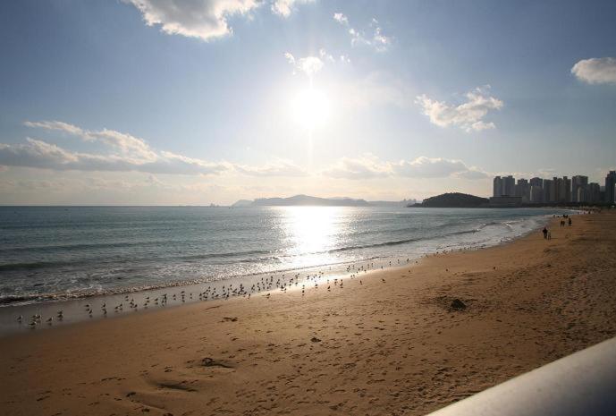 Busan Dalmaji Hotel المظهر الخارجي الصورة